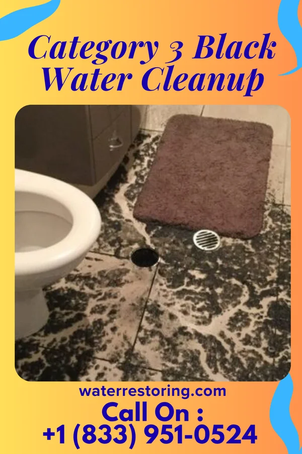 Category 3 Black Water Cleanup in Bay View, OH