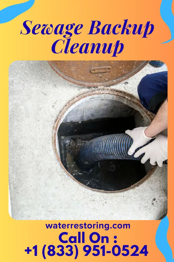 Sewage Backup Cleanup in Bay View, OH