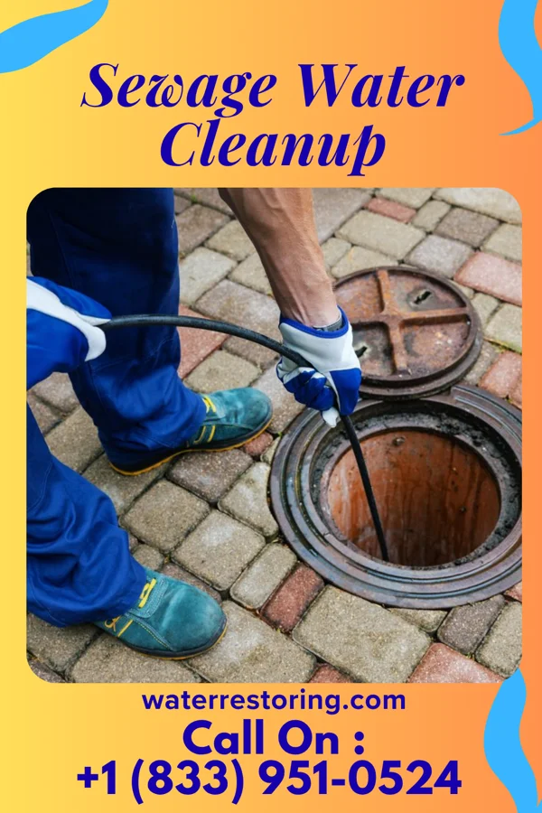 Sewage Water Cleanup in Bay View, OH
