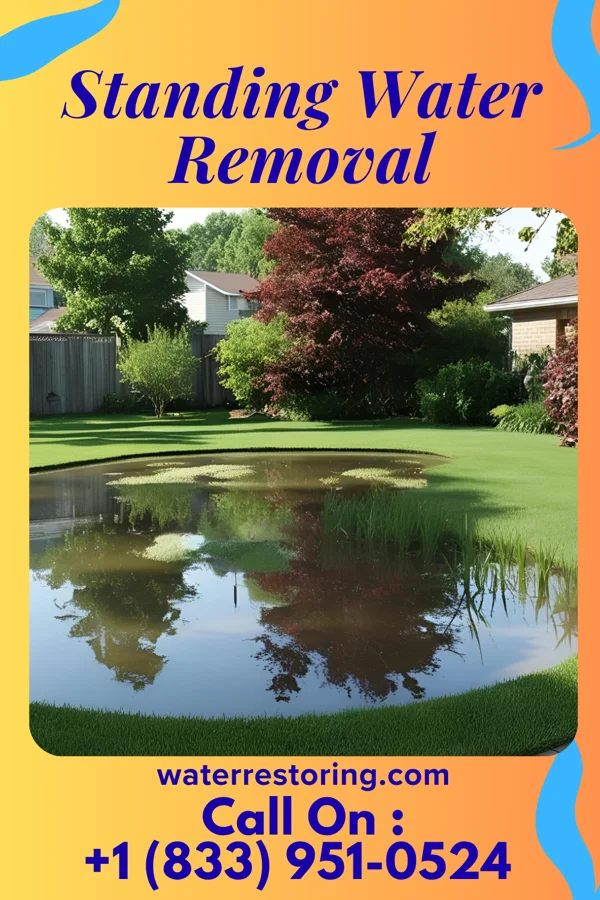 Standing Water Removal in Bay View, OH